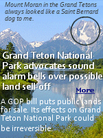 Senate Republicans recently proposed the sale of up to 3.29 million acres of public land across 11 Western states. While Grand Teton National Park and other national parks themselves aren’t on the chopping block, large swaths of national forest and Bureau of Land Management lands could potentially be sold and developed.
